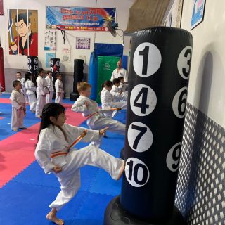 karate gradings