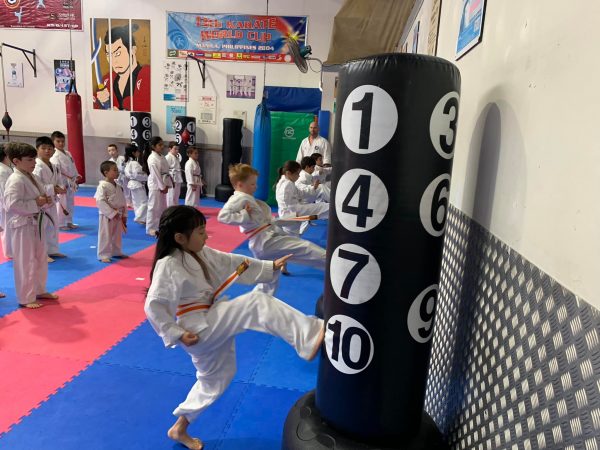 karate gradings