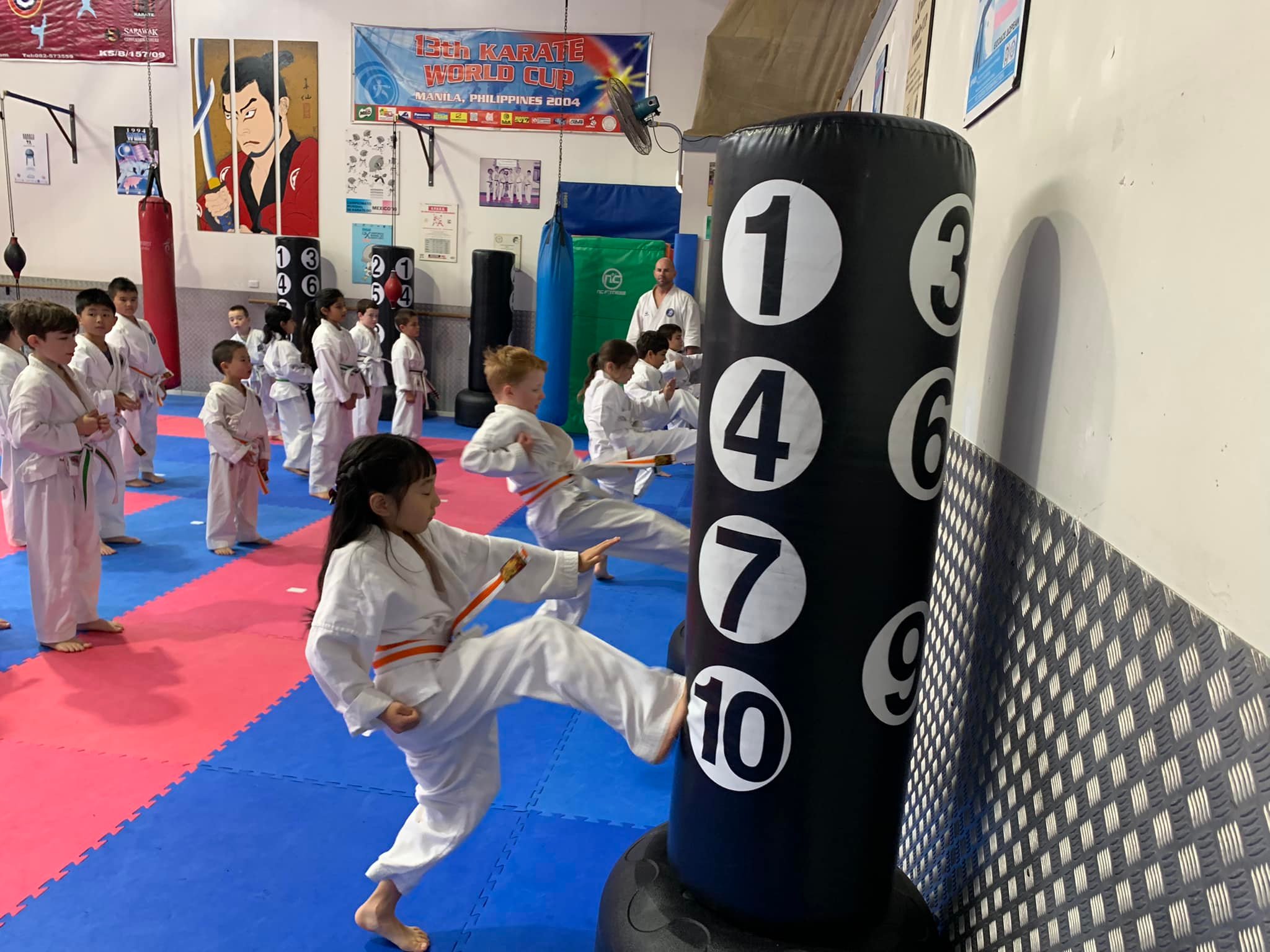 karate gradings