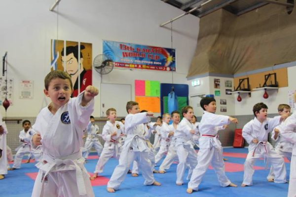 Little Dragons Training